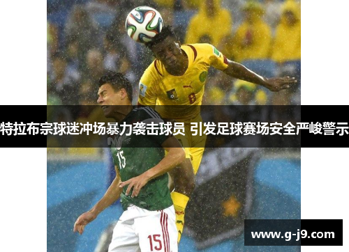 特拉布宗球迷冲场暴力袭击球员 引发足球赛场安全严峻警示 特拉布宗球迷冲场暴力袭击球员 引发足球赛场安全严峻警示