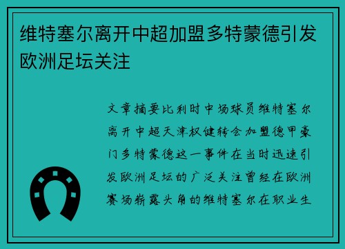 维特塞尔离开中超加盟多特蒙德引发欧洲足坛关注