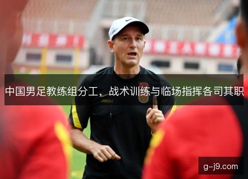 中国男足教练组分工，战术训练与临场指挥各司其职